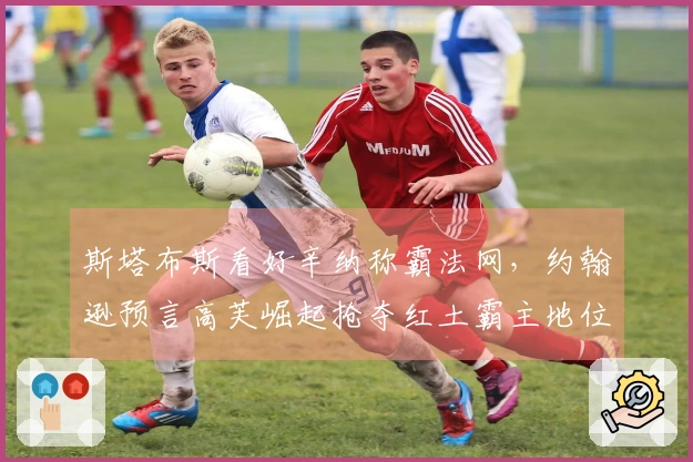 斯塔布斯看好辛纳称霸法网，约翰逊预言高芙崛起抢夺红土霸主地位