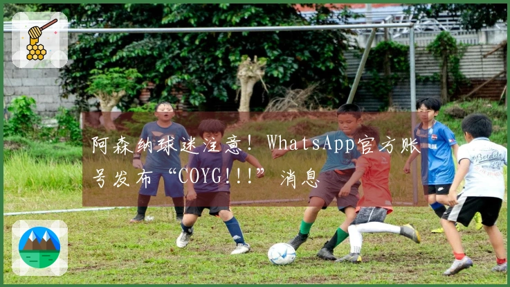 阿森纳球迷注意！WhatsApp官方账号发布“COYG!!!”消息