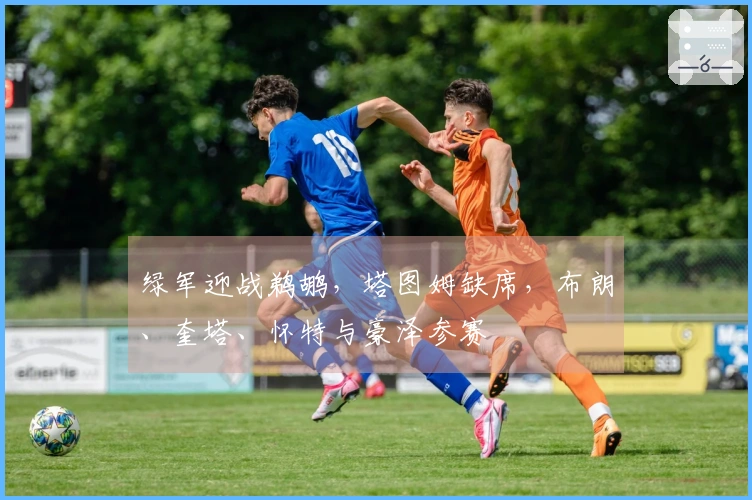 绿军迎战鹈鹕，塔图姆缺席，布朗、奎塔、怀特与豪泽参赛